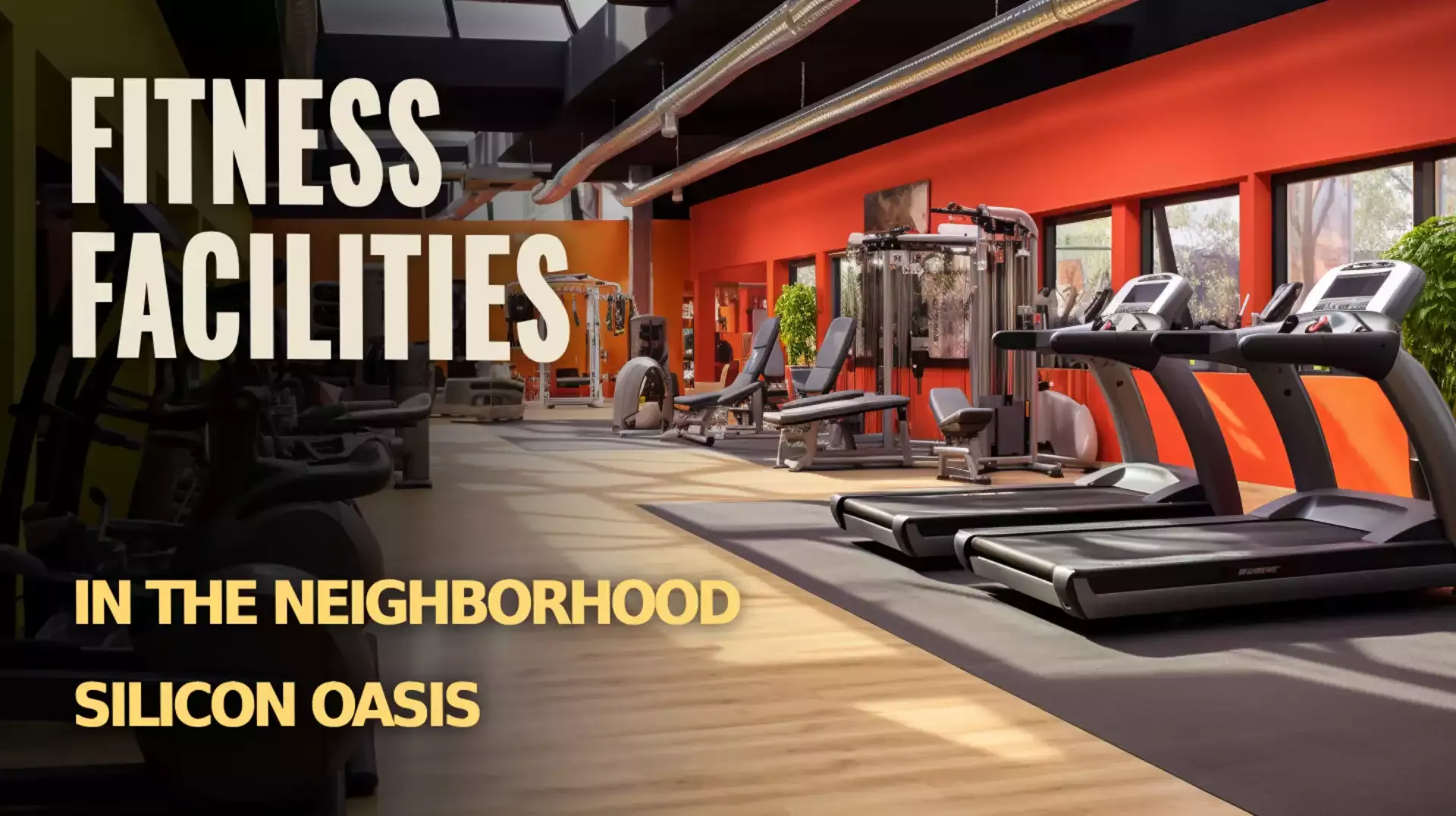 Active Living: Fitness Facilities in Silicon Oasis