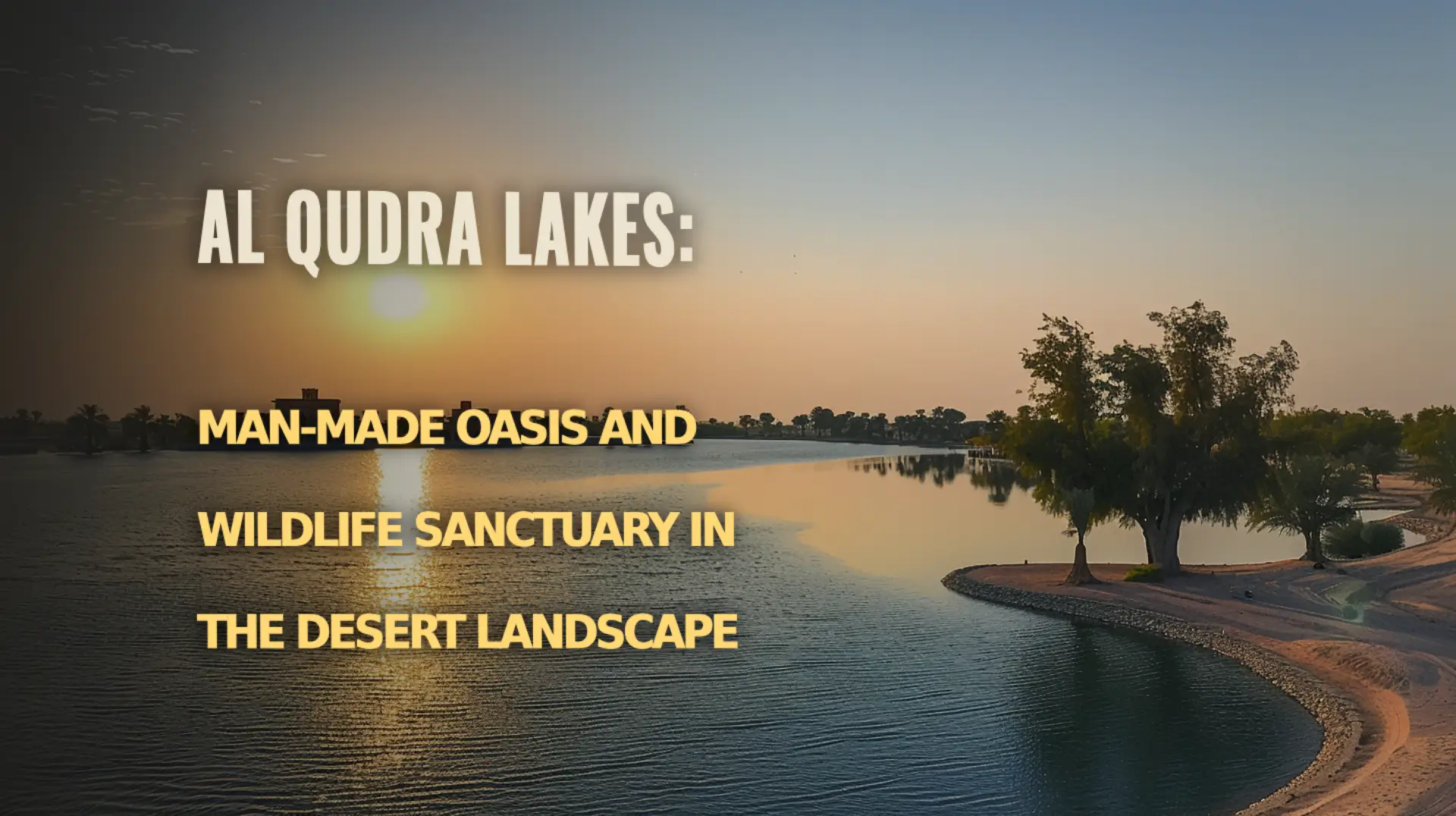 Discover Al Qudra Lakes, a man-made oasis and wildlife sanctuary in the desert