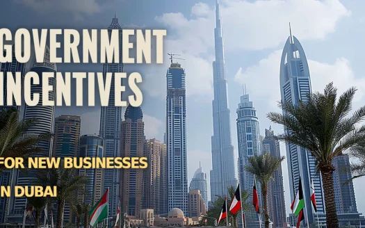 Government Incentives for New Businesses in Dubai