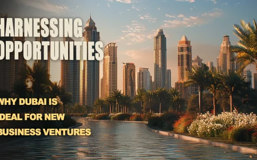 Harnessing Opportunities: Why Dubai Is Ideal for New Business Ventures