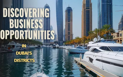 Discovering Business Opportunities in Dubai's Districts