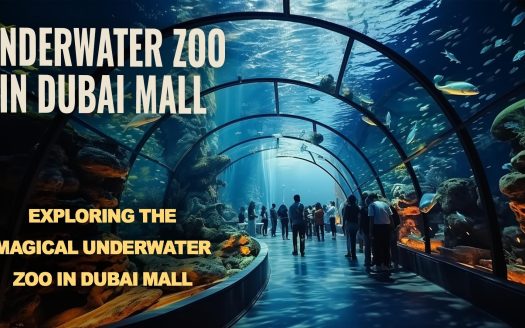 Underwater Zoo in Dubai Mall