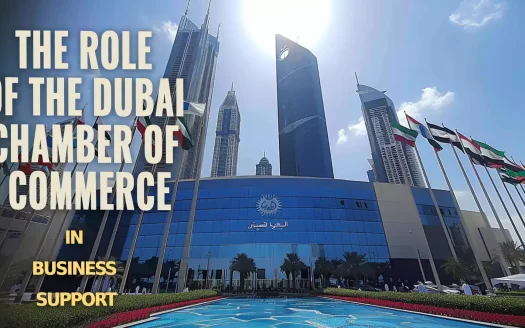 The Role of the Dubai Chamber of Commerce in Business Support