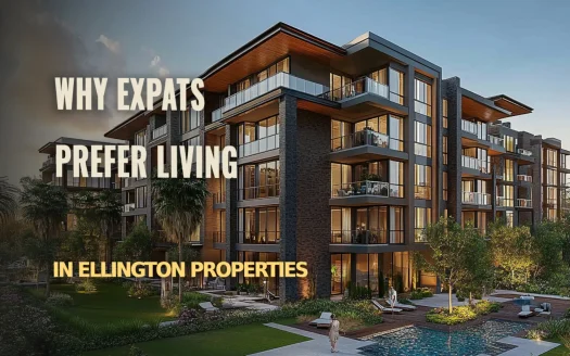 Why Expats Prefer Living in Ellington Properties